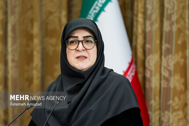 مهاجرانی عدم تغییر قیمت و حجم بنزین سهمیه‌ای را اعلام کرد