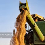 تاکید بر هم‌افزایی نهادها برای امنیت غذایی در اجلاس اتاق اصناف کشاورزی