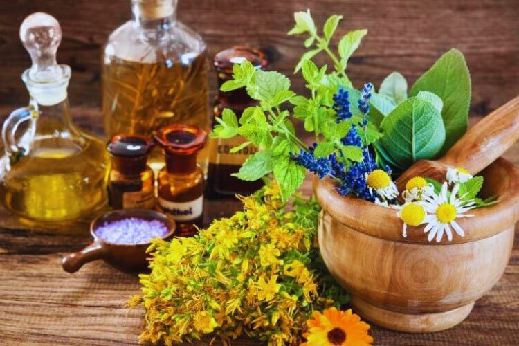 “”: “اقتصاد گیاهان دارویی باید بر پایه ظرفیت‌های طبیعی توسعه یابد”
