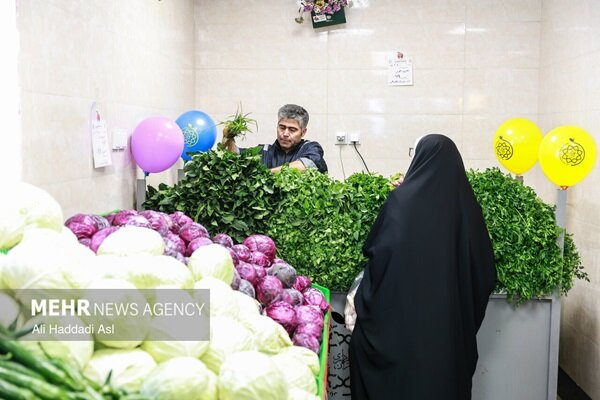 شرایط تولید و بستهبندی سبزی خوردن آماده مصرف اعلام شد