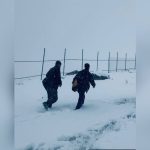 فیلم ژیلهمو در جشنواره آمریکا