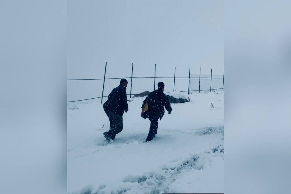 فیلم ژیلهمو در جشنواره آمریکا