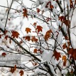 هشدار زرد هواشناسی: باران، برف و کاهش ۵ درجه‌ای دما در تهران تا ۴ آبان